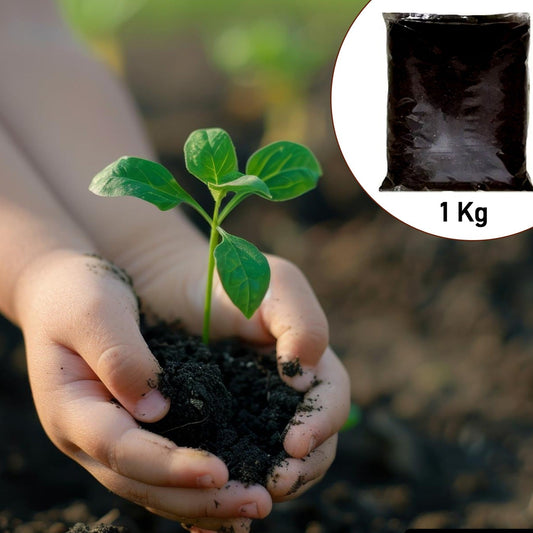 Organic Vermicompost Black Soil